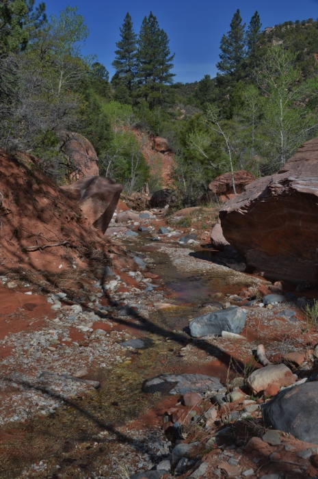 Along the Middle Fork of the Taylor Creek Trail